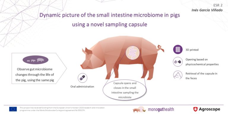 ESR2: Evolution of the small intestine microbiome in pigs from birth to post weaning under normal and stress conditions