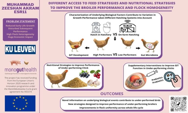 ESR11: Different access-to-feed strategies and nutritional strategies to improve broiler performance and flock homogeneity