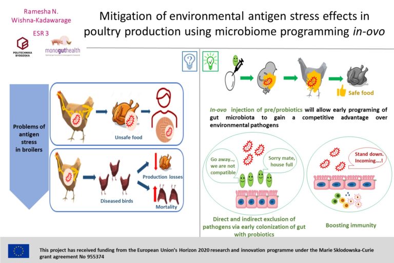 ESR3: Mitigate environmental antigen stress effects in poultry production using microbiome programming in ovo