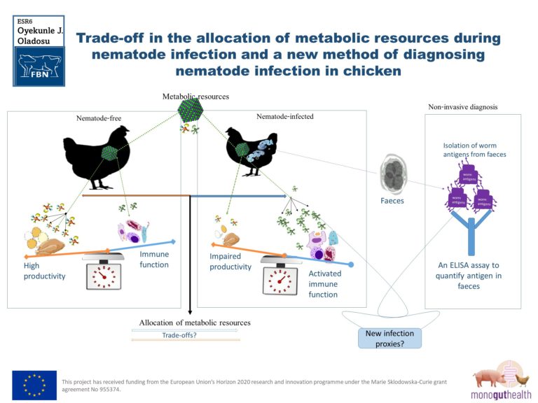 ESR6: Characterisation of metabolic responses in chickens exposed to nematode infections